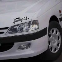 جلوبندی انواع خودرو