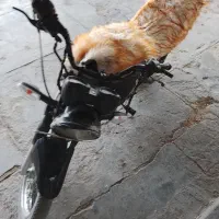 موتور سنگین امیکو