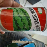 بذر هندوانه سوپر دراگون