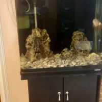 آکواریوم شیشه خم ماهیران ۱۰۰ لیتری