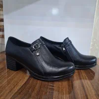 پخش کفش زنانه (کلی )