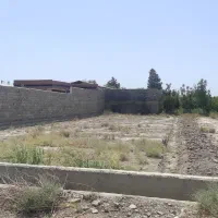 زمین کشاورزی فروشی