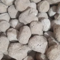 کلگ بلوط تازه و تمیز