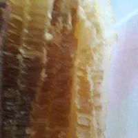 عسل طبیعی|خوردنی و آشامیدنی|گوگان, |دیوار