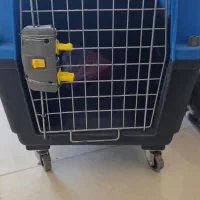 باکس حمل سگ و گربه|لوازم جانبی حیوانات|باغستان, |دیوار