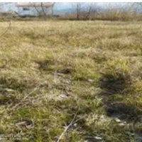 زمین-داخل-طرح-مناسب-ساخت-ساز-در-شفت