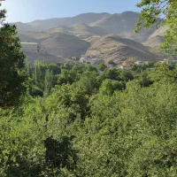 باغ-300-متری-فین-بزرگ-یزدآباد