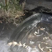 اجاره ۱۱هکتارزمین کشاورزی بالوله کشی قطره ای بیضا|اجارهٔ دفتر صنعتی، کشاورزی، تجاری|بیضا, |دیوار