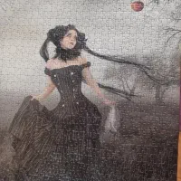 پازل|کلکسیون و سرگرمی|چمستان, |دیوار