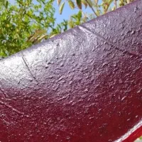 شیره ملایر،لواشک ارگانیک بامیوه های باغ.کلوچه سنتی|خوردنی و آشامیدنی|تهران, باغ فیض|دیوار