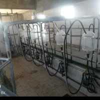 فروش دامداری|فروش دفتر صنعتی، کشاورزی، تجاری|سبزوار, قصبه غربی|دیوار