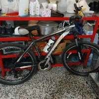 دوچرخه فروشی|دوچرخه، اسکیت، اسکوتر|چمستان, |دیوار