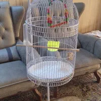 قفس سالم با لوازم