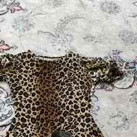 شومیز|لباس|سبزوار, میدان بار|دیوار