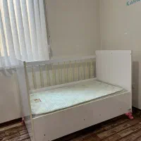 تخت کودک|تخت و صندلی بچه|شیراز, اصلاح‌نژاد|دیوار