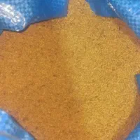 فروش تخم یونچه