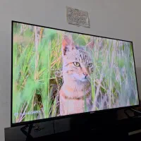 ال ای دی 55 هوشمند 4k فول امکانات اندروید