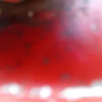 کارت سوخت گمشده