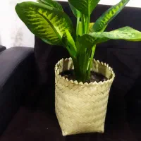 سفارش انواع سبد های مختلف تسمه|صنایع دستی و سایر لوازم تزئینی|رشت, ولکس|دیوار