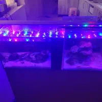 فروش انواع وسایل آکواریوم