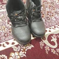 کفش کار|کیف، کفش، کمربند|بیرجند, |دیوار