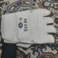 دستکش تکواندو