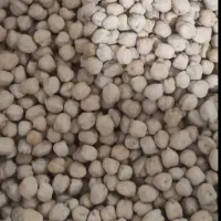 نخود قرمز(نوکه سوره)