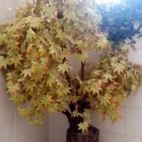 درخت مصنوعی