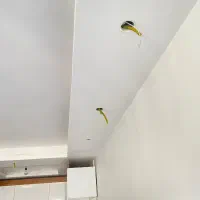 فروش هالوژن و ریسه و نصب ان|ریسه و چراغ تزئینی|قزوین, |دیوار