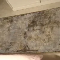 فرش درحد آکبند ۱۲۰۰ شانه|فرش|تهران, اکباتان|دیوار