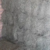 یونجه چرداول|حیوانات مزرعه|زاگرس, |دیوار