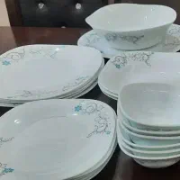 ظروف چینی