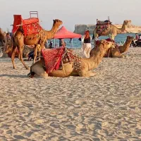 فقط۱۲۵۰۰۰۰ تومان ازصبح تا ۴ عصر|تور و چارتر|قشم, |دیوار