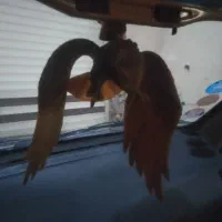 جک وکیف ابزار نوژاپنی تویوتا.پخش وباند۶۹۷۵.بوق|قطعات یدکی و لوازم جانبی|تبریز, |دیوار