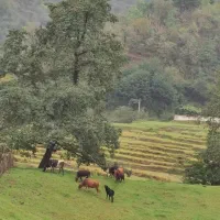 212متر-زمین-دوطبقه-250متر-بنا-کلنگی-توانیر-نظامی