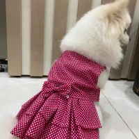 لباس سگ ( پت)