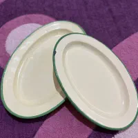 ظرف بشقاب لعابی