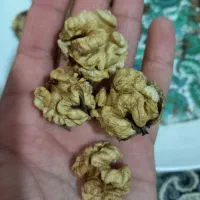 گردو تویسرکان