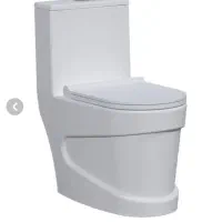 سرویس بهداشتی