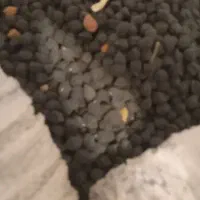 نخودسیاه|خوردنی و آشامیدنی|قلقل رود, |دیوار