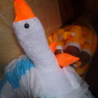 فقط بپرسید تا آگاه شوید . ( عروسک داریم )|اسباببازی|لاهیجان, طالقانی|دیوار