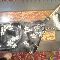 نی انبان حرفه ای|سازهای بادی|دوگنبدان, |دیوار