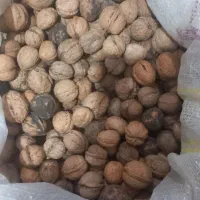 گردو اعلا|خوردنی و آشامیدنی|عنبران, |دیوار