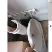 سر شور سالم همراه با شیر