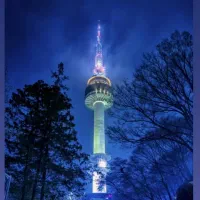 مدرس زبان کره ی جنوبی هستم