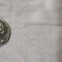 زیرخاکی یک سکه