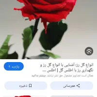 مغازه اجاره ای