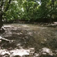 قطعه زمین ۱ هکتاری واقع در روستای الویجان|فروش دفتر صنعتی، کشاورزی، تجاری|تفرش, |دیوار