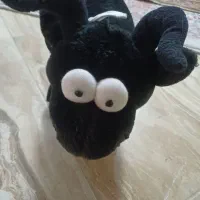 عروسک|اسباب‌بازی بچه|کرج, شهرک بنفشه|دیوار