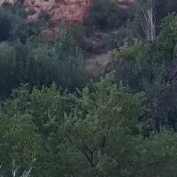 سلام خدمات فنی ساختمان